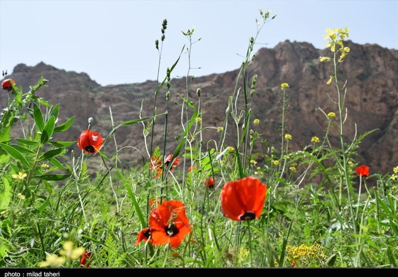 منطقه گردشگری&quot;خان دره سی&quot;ارومیه به روایت تصویر