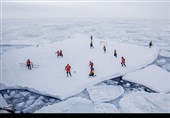 خدمه کشتی یخ شکن اسوالبارد که متشکل از سربازان و دانشمندان نروژی است در حالی که توسط افراد مسلح از خطر خرس قطبی محافظت شده‌اند در حال فوتبال بازی کردن هستند.