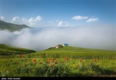 Shekar Dasht; Lost Paradise in Iran's Gilan Province