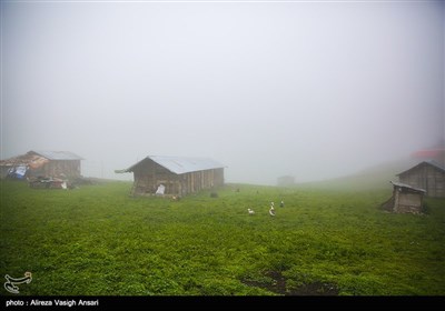 Village Life in Iran's Northern Gilan Province