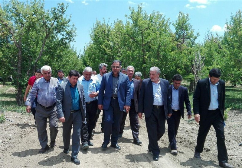 آذربایجان شرقی| ارزش‌افزوده بخش کشاورزی بدون هیچ واسطه‌ای باید به جیب کشاورز‌ برود