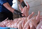 صادرات مرغ و تخم مرغ به کویت آزاد شد+سند