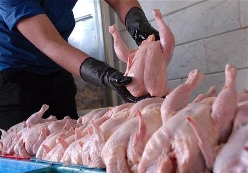 عرضه مرغ در زنجان دو نرخی می‌شود