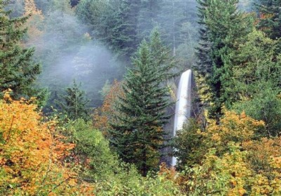 Shahan Dasht Waterfall: A Waterfall in Amol, North of Iran