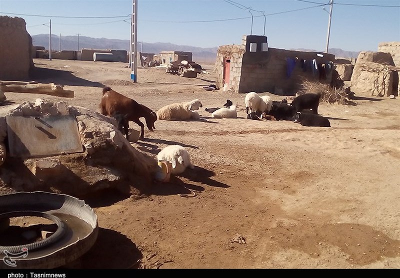 خراسان جنوبی| زخم خشکسالی بر پیکر منطقه مرزی چاه عشایری بخش درح+تصاویر