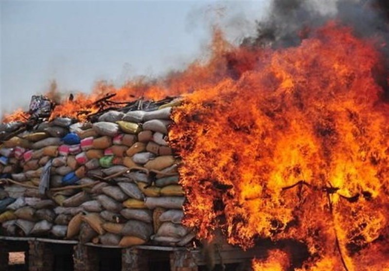 1280 کیلوگرم مواد مخدر بوشهر امحاء می‌شود