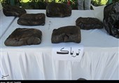 بیش از 5 تن انواع مواد مخدر در استان همدان کشف شد