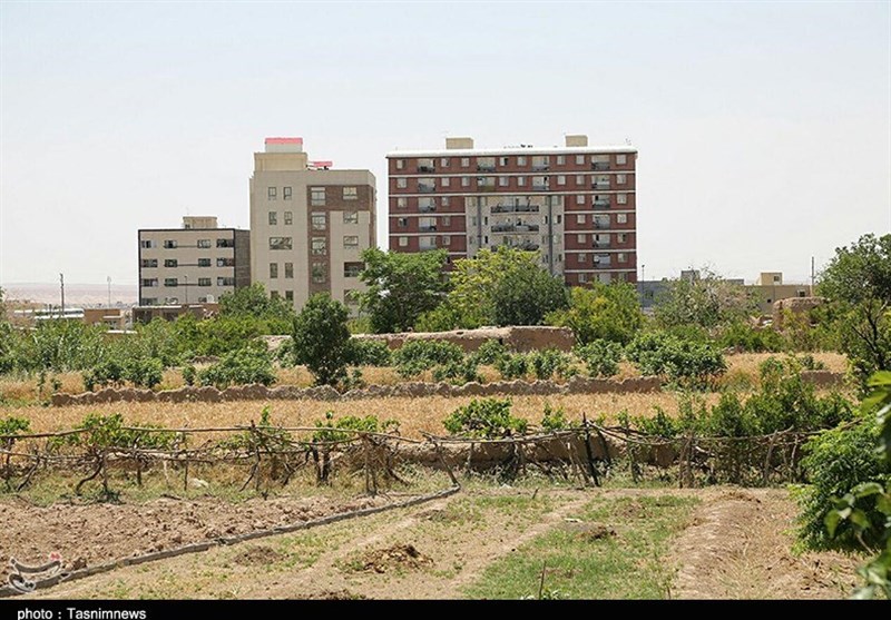 توسعه آپارتمان‌سازی و از بین بردن ریشه‌های تنفسی در شهر سمنان به روایت تصویر