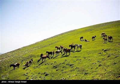 ایران کے صوبہ گیلان کے قدرتی مناظر