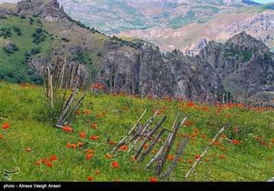 ایران کے صوبہ گیلان کے قدرتی مناظر