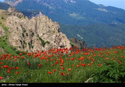 ایران کے صوبہ گیلان کے قدرتی مناظر