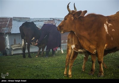 ایران کے صوبہ گیلان کے قدرتی مناظر