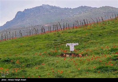 ایران کے صوبہ گیلان کے قدرتی مناظر