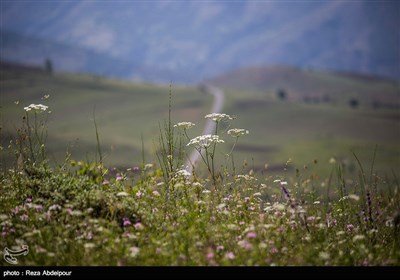 طبیعت ارسباران - آذربایجان شرقی