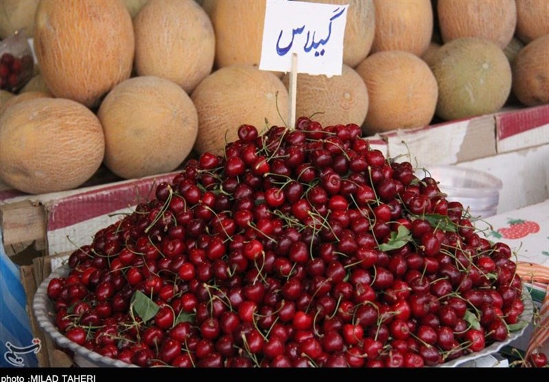زنجان| دخالت بیجای دولت در تنظیم بازار گرانی‌ها را ایجاد می‌کند