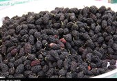 بازار گرم میوههای نوبرانه در ارومیه؛ مردم توان خرید ندارند