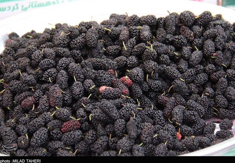 بازار گرم میوه‌های نوبرانه‌ در ارومیه؛ مردم توان خرید ندارند