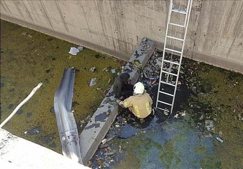 سقوط پژو 206 به داخل کانال آب در بزرگراه باکری + تصاویر