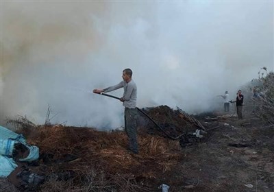  ادامه پرتاب بالن‌های آتش‌زای فلسطینی| مناطق صهیونیست‌نشین ۳۵ بار در آتش سوخت 