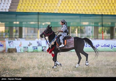 جشنواره ملی اسب کُرد - سنندج