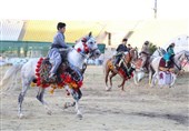 دومین دوره جشنواره ملی اسب کُرد در سنندج آغاز شد+تصاویر