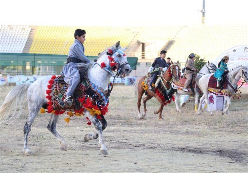 دومین دوره جشنواره ملی اسب کُرد در سنندج آغاز شد+تصاویر