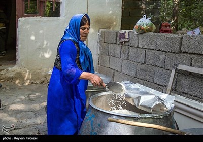 نخستین جشنواره برداشت توت فرنگی استان کردستان