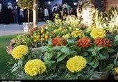 نمایشگاه گل و گیاه کرمان به روایت تصویر