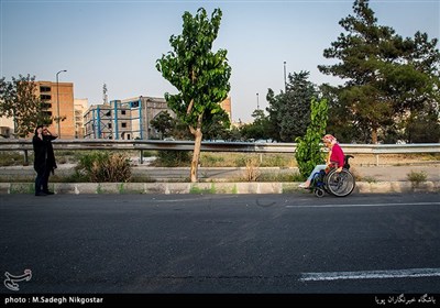 نازنین رضایی بعد از فوت پدرش مجبور به زندگی با پدر بزرگ و مادر بزرگ خود بهمراه خواهر و برادر در روستایی دور افتاده می شود