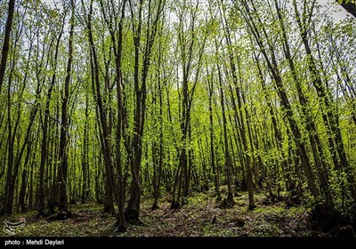 طبیعت زیبای ارسباران