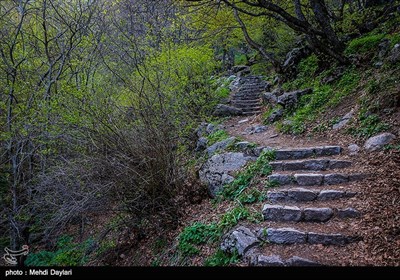 طبیعت زیبای ارسباران