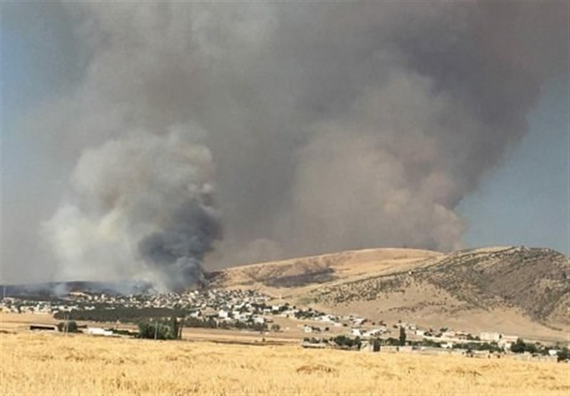 سرپرست مدیریت بحران گلستان: آتش‌سوزی ‌جنگل‌های سوزنی‌برگ پیشکمر تحت کنترل است