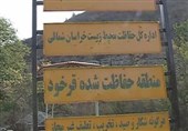 حریق جنگل‌های «قرخود» خاموش شد؛ نگرانی‌ها برای نابودی «بزرگترین‌ پوشش اُرس شمال‌شرق ایران» ادامه دارد