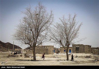 روستای دك باهو روستایی است از توابع بخش دشتیاری شهرستان چابهار در60 کیلومتری استان سیستان و بلوچستان ،آب این روستا شور است و همیشه توسط تانکر این روستا آبرسانی میشود.