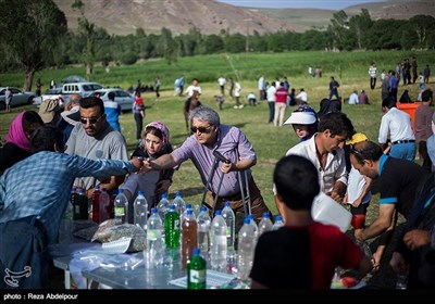 تبریز میں جاری گل محمدی میلہ سے چند تصاویر