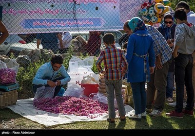 تبریز میں جاری گل محمدی میلہ سے چند تصاویر