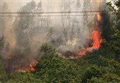 اردبیل| آتش سوزی 5 میلیارد تومان به مزارع و باغات شهرستان گرمی خسارت زد