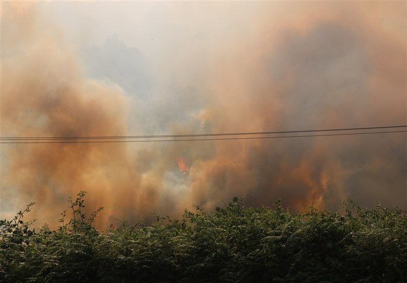 آتش‌سوزی در اراضی جنگلی شرق استان گلستان گسترش یافت
