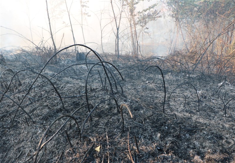 آتش‌سوزی در جزیره آشوراده همچنان ادامه دارد؛180 هکتار در آتش سوخت