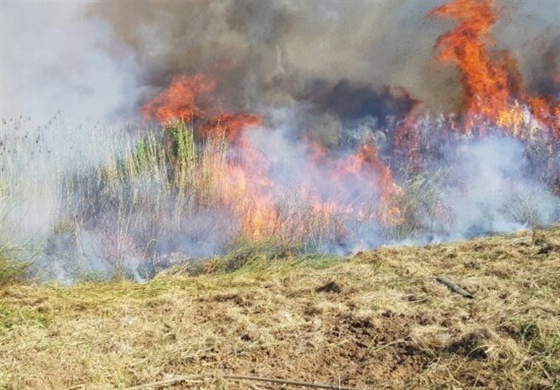 تحولات فلسطین| 17 آتش‌سوزی در سرزمین‌های اشغالی به دلیل پرتاب بادبادک‌ آتشین