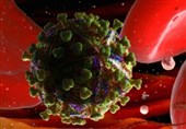 New discovery: Unprecedented Breakthrough in Fight against HIV
