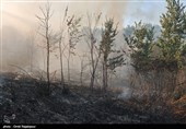 اطفاء کامل آتش‌سوزی دوم در مناطق مرتعی و جنگلی شهرستان کلاله