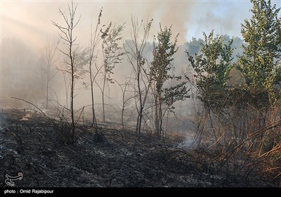 Firefighters Battle Wildfire in Iran's Northern Gilan Province