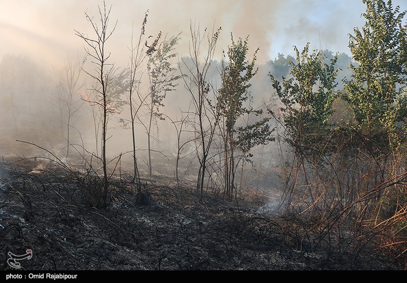 اطفاء کامل آتش‌سوزی دوم در مناطق مرتعی و جنگلی شهرستان کلاله