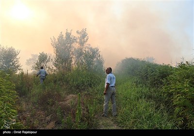 Firefighters Battle Wildfire in Iran's Northern Gilan Province