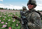 دروغ آمریکا درباره هزینه 8 میلیارد دلاری مبارزه با مواد مخدر در افغانستان