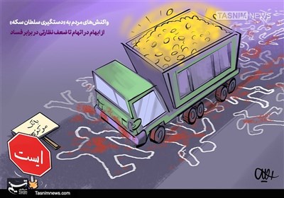 کاریکاتور/ واکنشها به «دستگیری سلطان سکه»