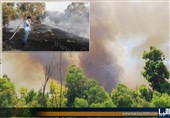 آسمان کابوس صهیونیست‌ها؛ ثبت 17 مورد آتش سوزی در اراضی اشغالی درپی پرتاب بالن‌های آتش‌زا