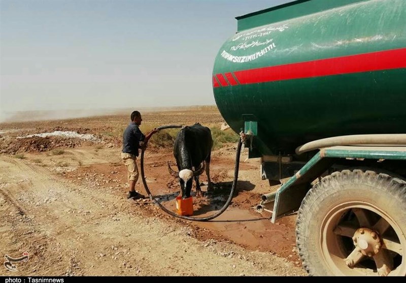 خوزستان | از رهاسازی آب رودخانه تا توزیع آب بین دامداران روستاهای شوش