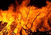 آتش سوزی در 6 هکتار از جنگل‌های ارسباران
